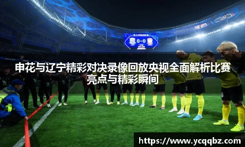 申花与辽宁精彩对决录像回放央视全面解析比赛亮点与精彩瞬间